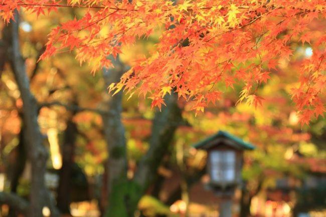 Kanazawa Machiya Inn Hana Екстериор снимка